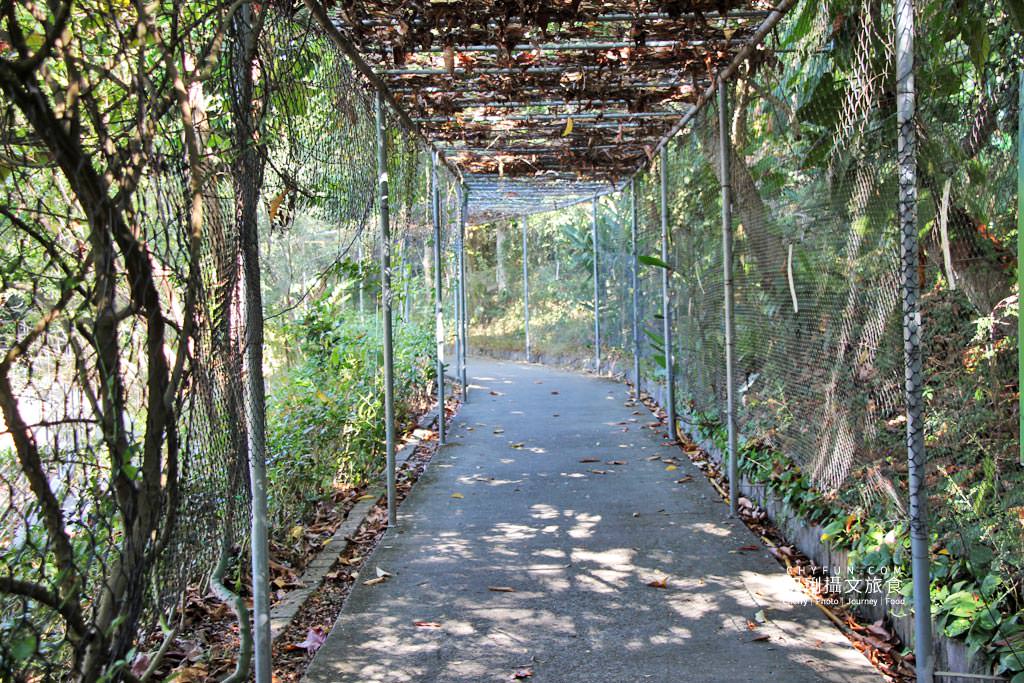 、農村旅遊、跟著花仙子去旅行