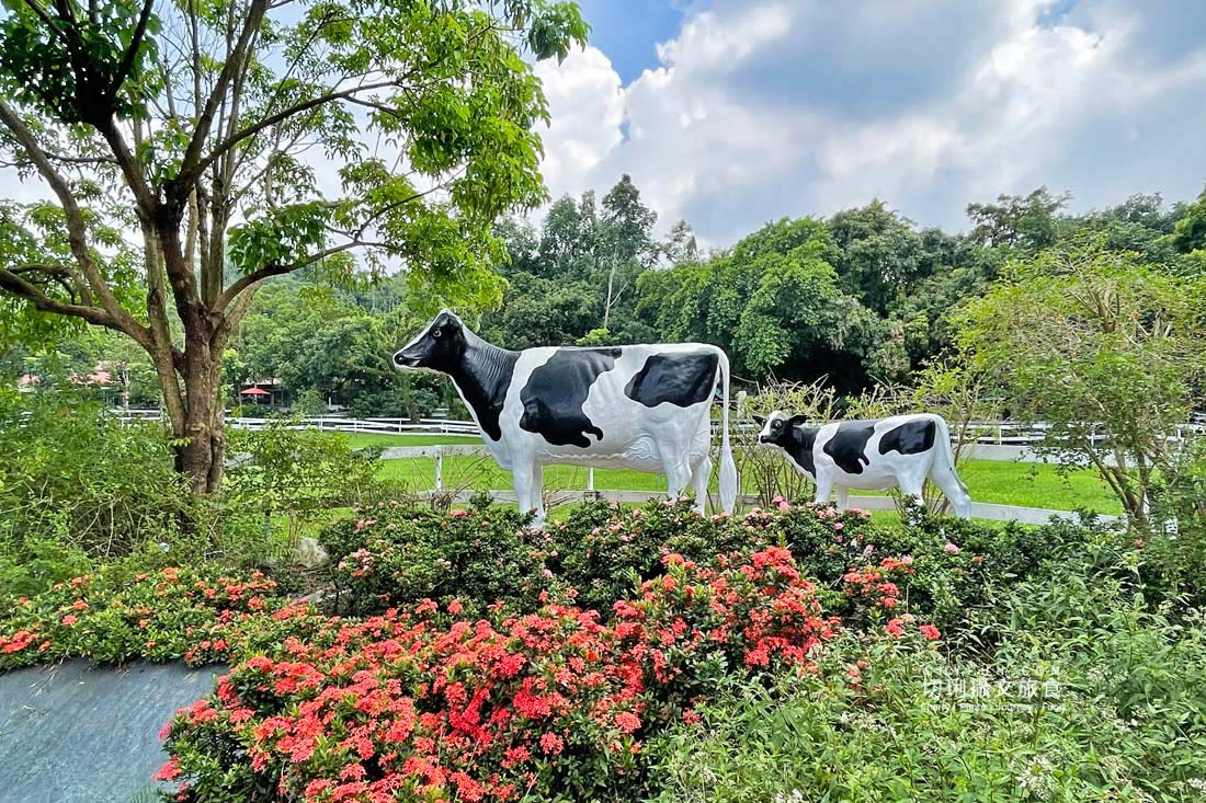 嘉義｜中埔旅遊六景點七美食三日，大人放鬆遛孩放電玩