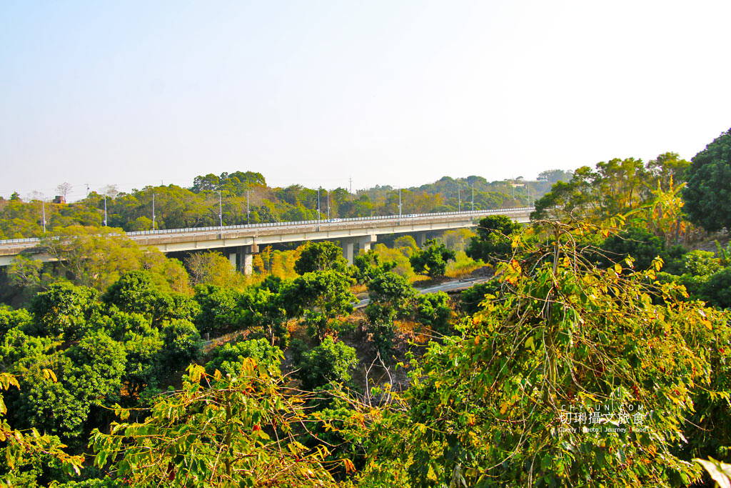 彰化｜走訪八卦山咖啡產地到阿束社看景，聽國村青農栽培得獎咖啡生豆