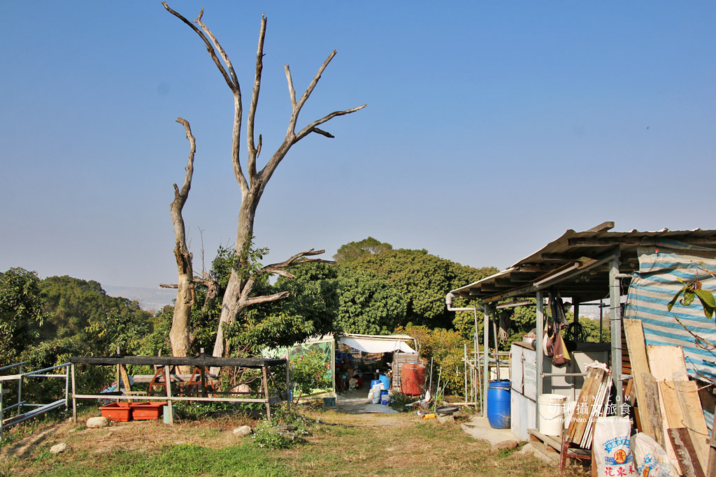彰化｜走訪八卦山咖啡產地到阿束社看景，聽國村青農栽培得獎咖啡生豆