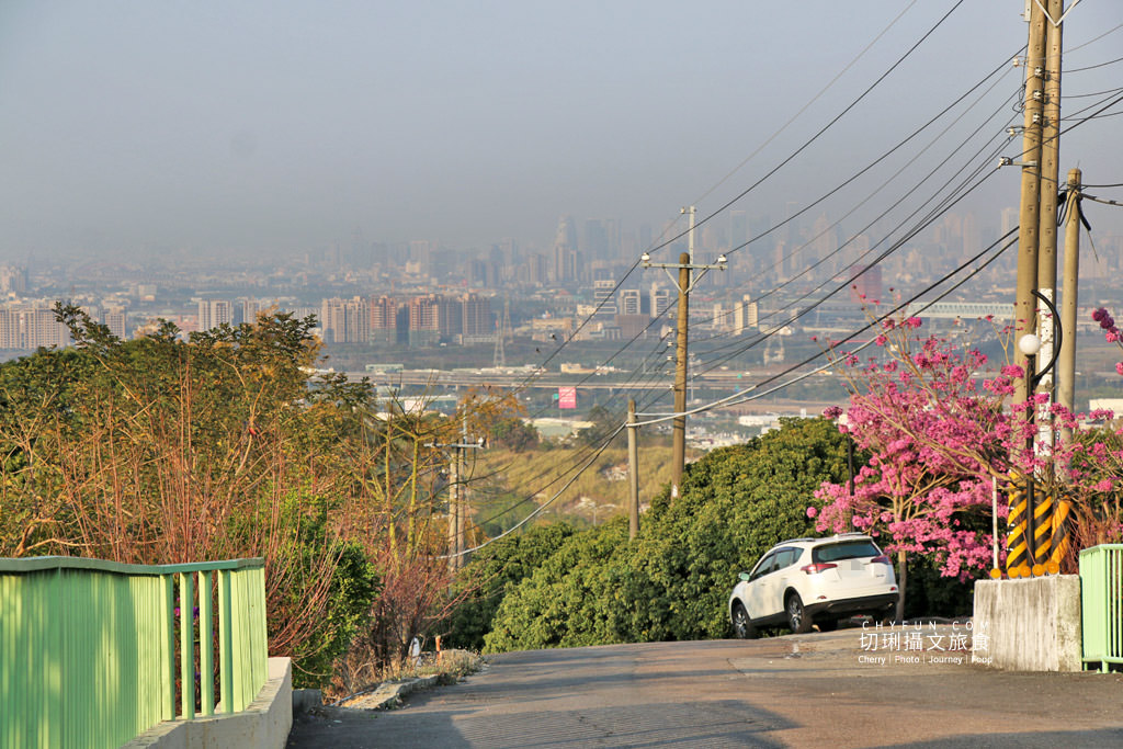 彰化｜走訪八卦山咖啡產地到阿束社看景，聽國村青農栽培得獎咖啡生豆