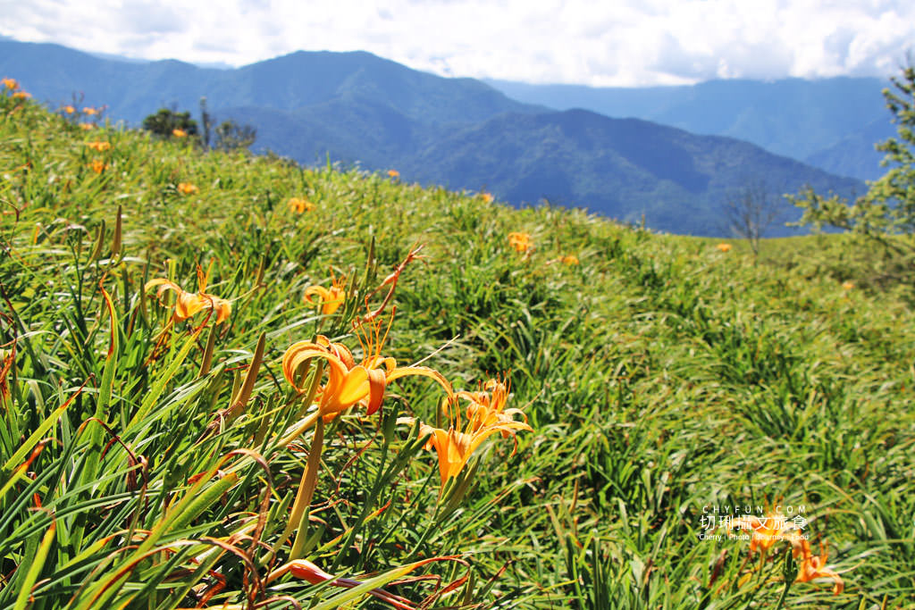 六十石山金針花兩天一夜04＿六十石山金針花海、觀景台－山嵐亭
