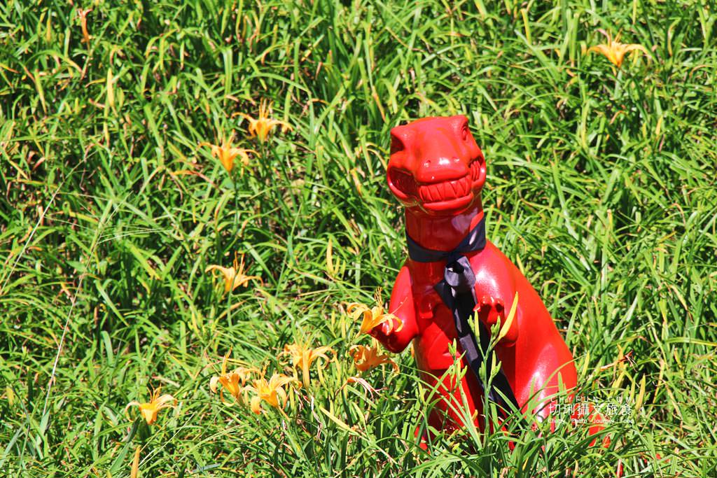 六十石山金針花兩天一夜13＿小瑞士