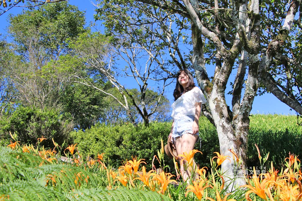 六十石山金針花兩天一夜14＿忘憂亭