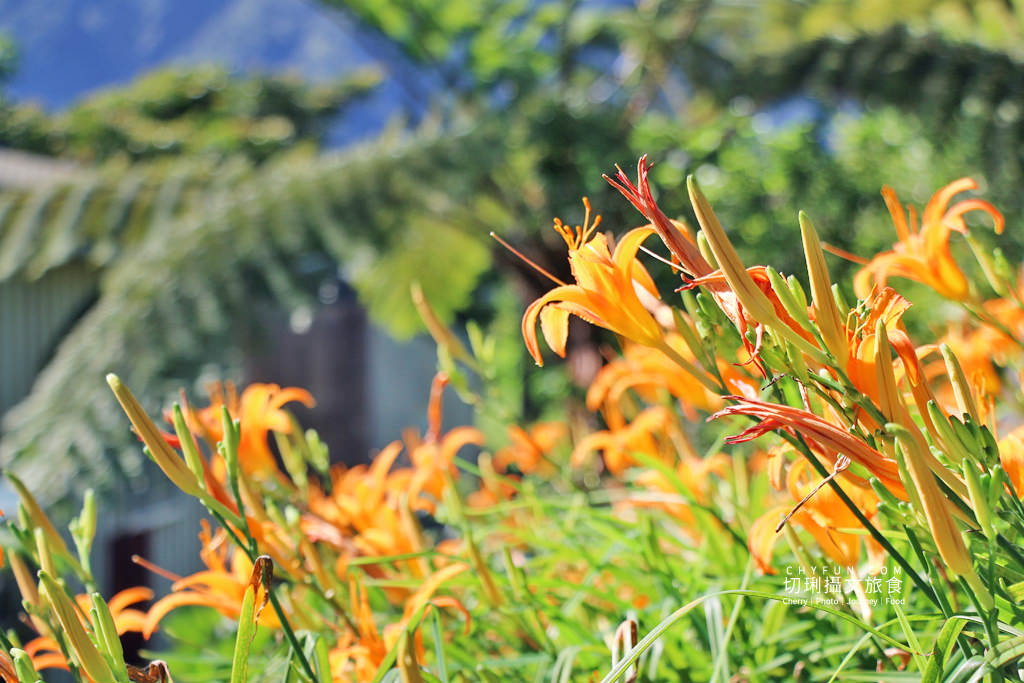 六十石山金針花兩天一夜15＿忘憂亭