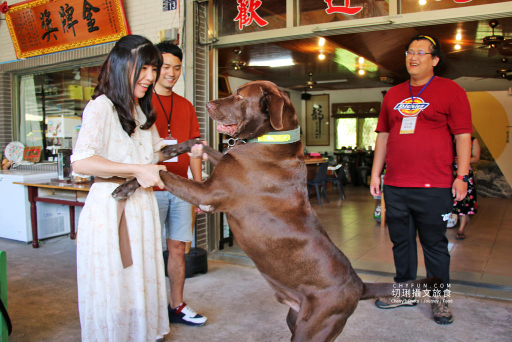 六十石山金針花兩天一夜24＿益順休閒農莊採金針花、品茗吃冰