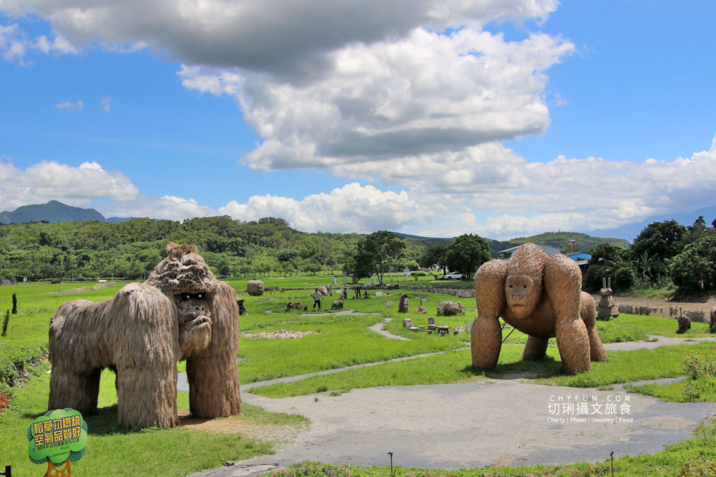 六十石山金針花兩天一夜64＿富里鄉農會-品嚐九宮格便當-最新網美咖啡廳
