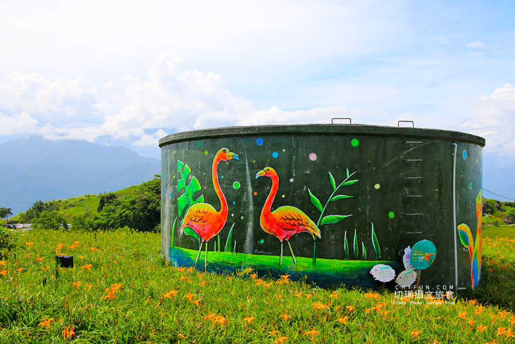 六十石山金針花動物迷蹤亮點13