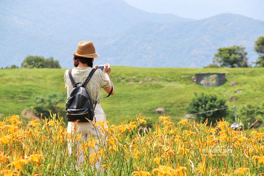 六十石山金針花動物迷蹤亮點17