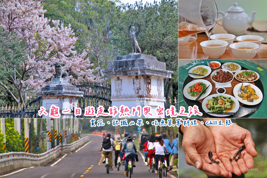 高雄|六龜一日遊走訪不一樣之旅,賞花、認識山茶、饗無菜單料理、Chill生態 - 第1張圖 高雄|六龜一日遊走訪不一樣之旅,賞花、認識山茶、饗無菜單料理、Chill生態
