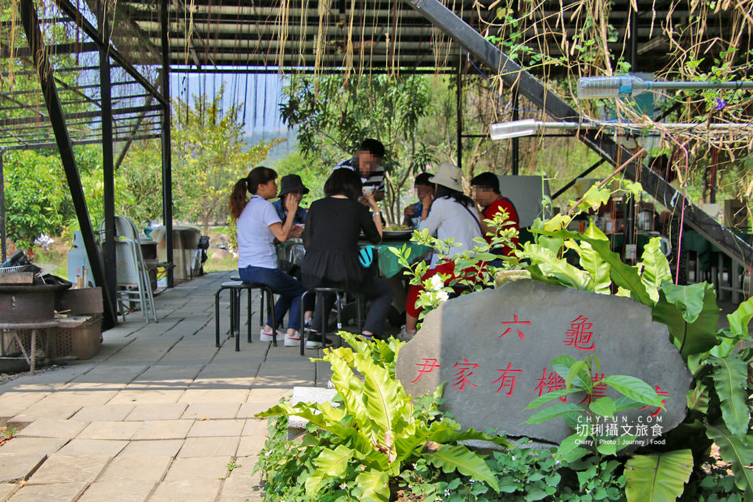 高雄|六龜一日遊走訪不一樣之旅,賞花、認識山茶、饗無菜單料理、Chill生態 - 第12張圖 高雄|六龜一日遊走訪不一樣之旅,賞花、認識山茶、饗無菜單料理、Chill生態
