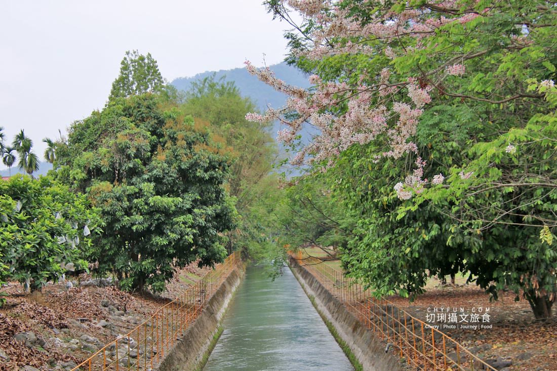 高雄|六龜一日遊走訪不一樣之旅,賞花、認識山茶、饗無菜單料理、Chill生態 - 第25張圖 高雄|六龜一日遊走訪不一樣之旅,賞花、認識山茶、饗無菜單料理、Chill生態