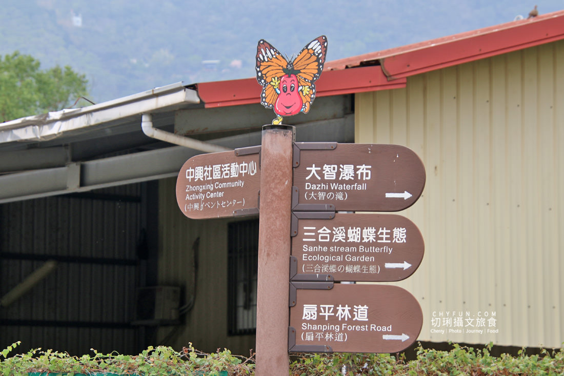 高雄|六龜一日遊走訪不一樣之旅,賞花、認識山茶、饗無菜單料理、Chill生態 - 第26張圖 高雄|六龜一日遊走訪不一樣之旅,賞花、認識山茶、饗無菜單料理、Chill生態