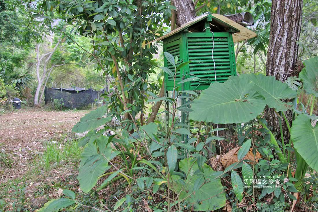 高雄|六龜多多鳥濕地學校體驗生態、嚐森林蜜,實踐里山感受大自然 - 第15張圖 高雄|六龜多多鳥濕地學校體驗生態、嚐森林蜜,實踐里山感受大自然