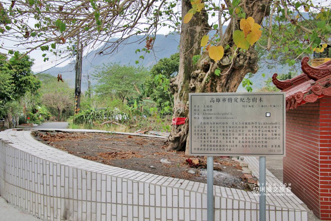 高雄|六龜中興社區騎乘鐵馬遊眷村,行經芒果樹路段看蝶飛舞 - 第21張圖 高雄|六龜中興社區騎乘鐵馬遊眷村,行經芒果樹路段看蝶飛舞
