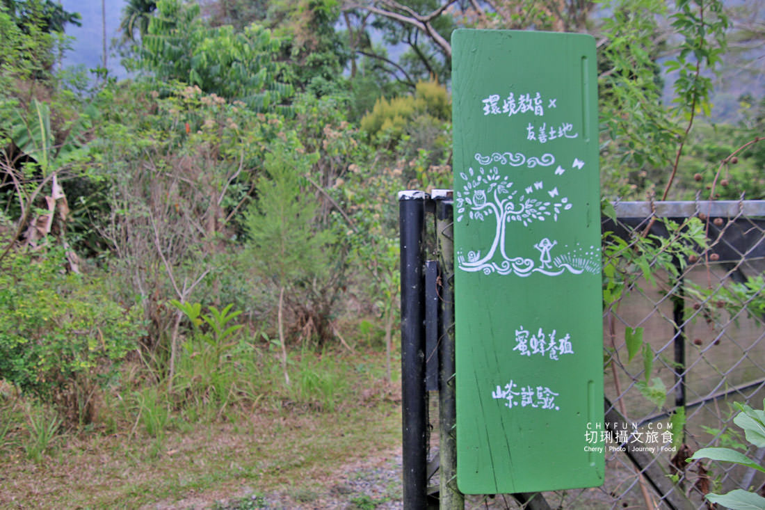 高雄|六龜多多鳥濕地學校體驗生態、嚐森林蜜,實踐里山感受大自然 - 第3張圖 高雄|六龜多多鳥濕地學校體驗生態、嚐森林蜜,實踐里山感受大自然