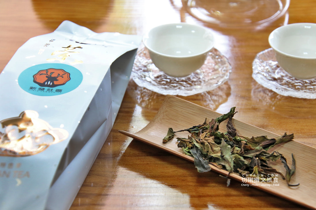 高雄｜六龜山茶故事館來這放鬆慢活喝好茶，用心體會原生山茶的獨特
