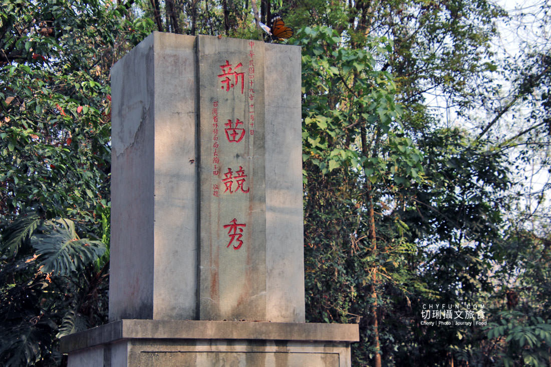 高雄｜六龜花旗木大爆發，神威天台山粉紅佈滿山同遊新威森林公園