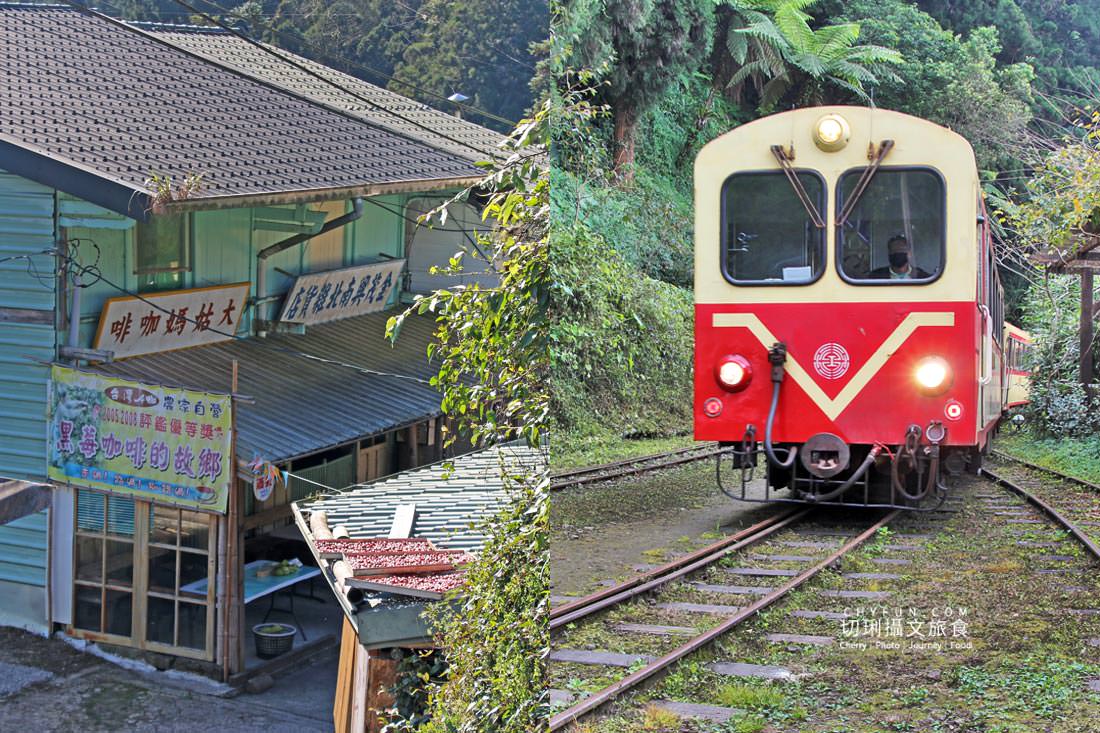 嘉義｜十字路車站與奮起湖老老街享山城慢活，森鐵二日遊私房路線走步道品美食