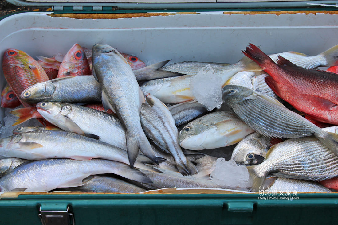 台南｜將軍漁港半日遊來去買魚貨看拍賣，大啖美食觀夕陽
