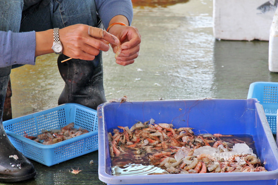 台南｜將軍漁港半日遊來去買魚貨看拍賣，大啖美食觀夕陽