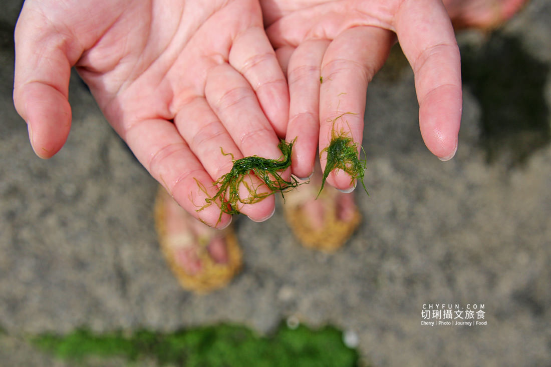 新北｜品味貢寮親山近海深度遊，走讀漁村遇見雞母嶺吃玩九孔鮮味