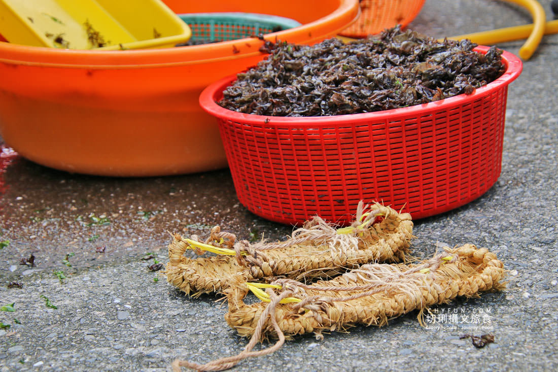 新北｜品味貢寮親山近海深度遊，走讀漁村遇見雞母嶺吃玩九孔鮮味