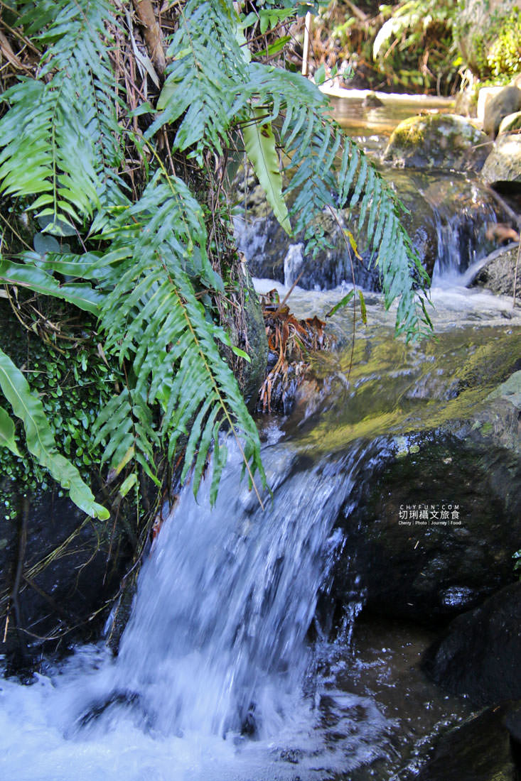 新北｜品味貢寮親山近海深度遊，走讀漁村遇見雞母嶺吃玩九孔鮮味