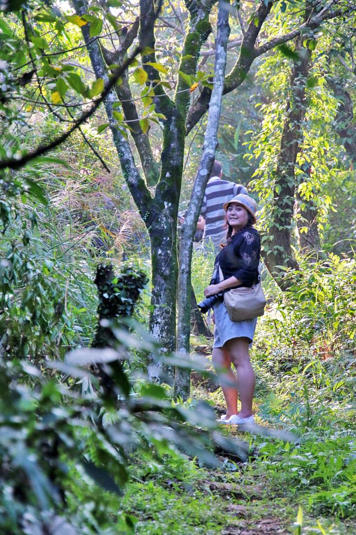 新北｜品味貢寮親山近海深度遊，走讀漁村遇見雞母嶺吃玩九孔鮮味