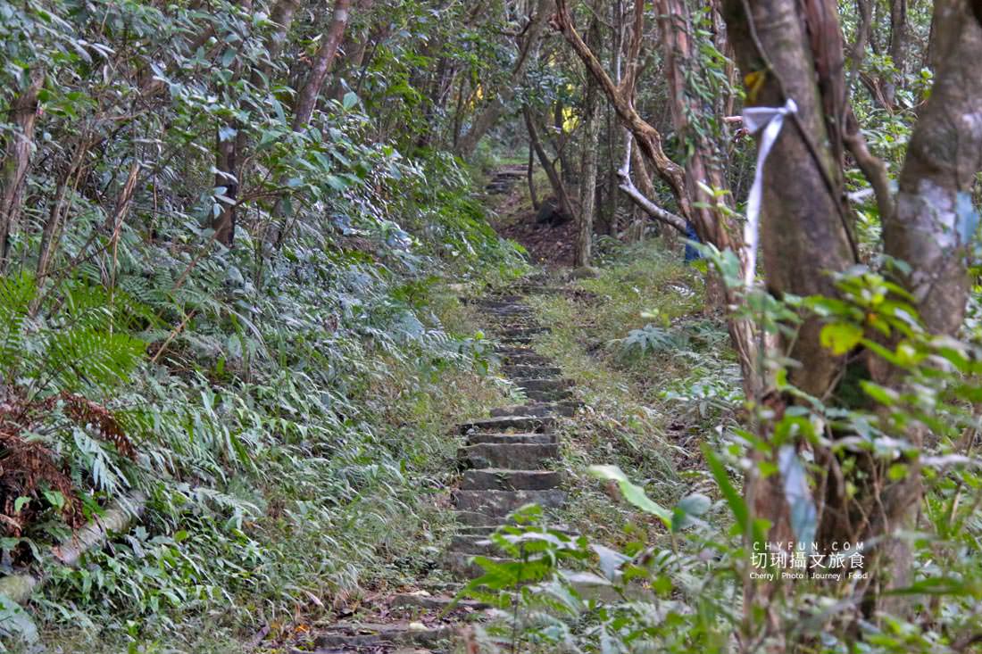 新北｜品味貢寮親山近海深度遊，走讀漁村遇見雞母嶺吃玩九孔鮮味