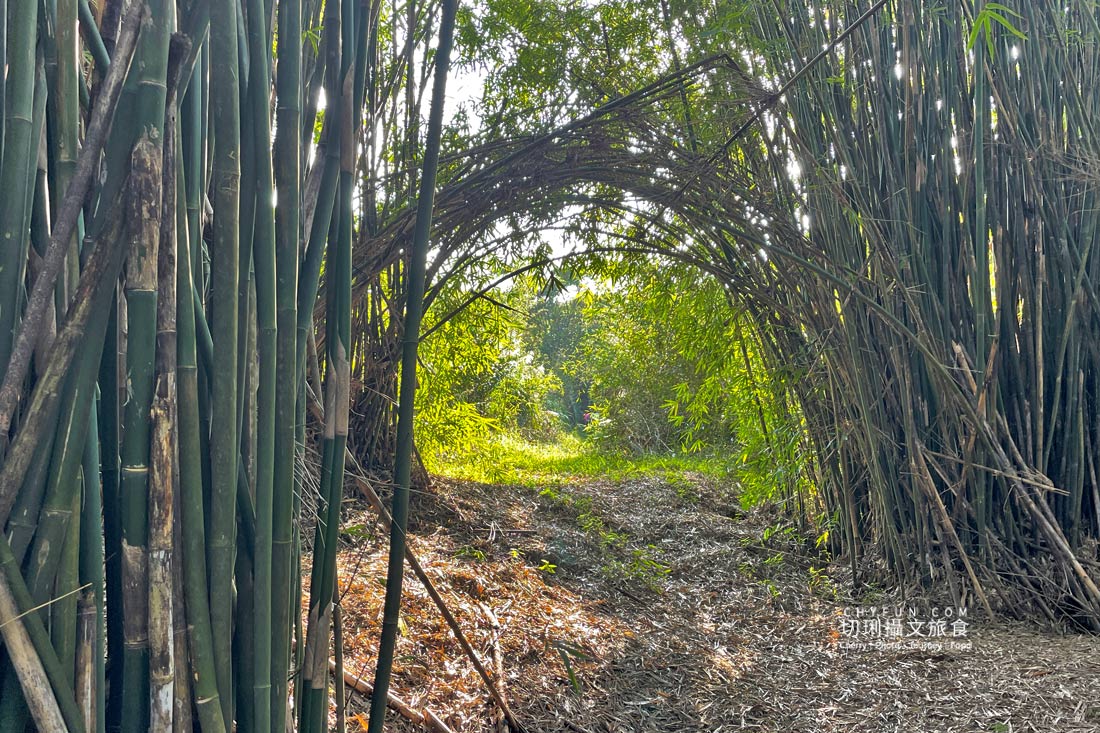 新北｜品味貢寮親山近海深度遊，走讀漁村遇見雞母嶺吃玩九孔鮮味