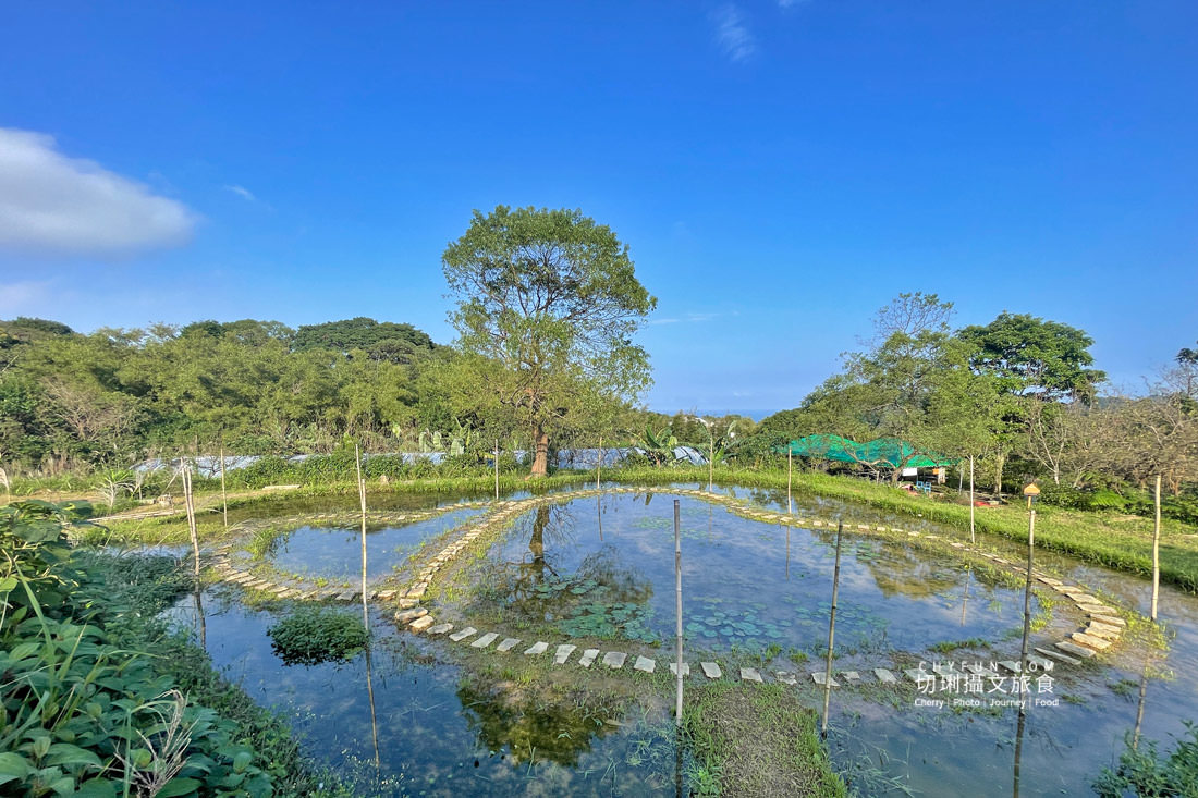 新北｜品味貢寮親山近海深度遊，走讀漁村遇見雞母嶺吃玩九孔鮮味