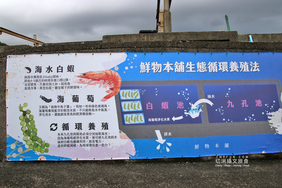 新北｜品味貢寮親山近海深度遊，走讀漁村遇見雞母嶺吃玩九孔鮮味