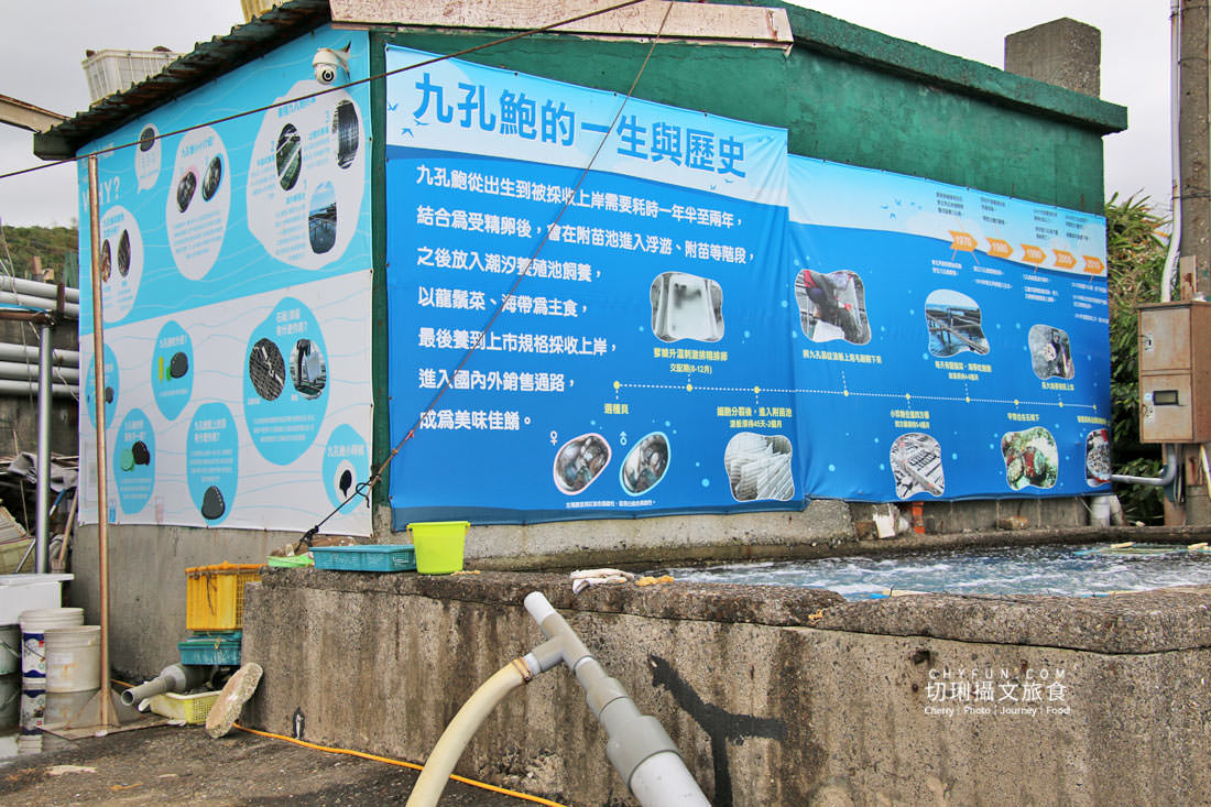 新北｜品味貢寮親山近海深度遊，走讀漁村遇見雞母嶺吃玩九孔鮮味