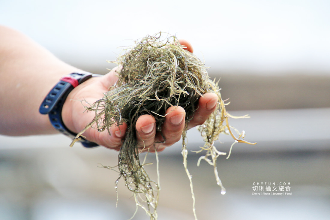 新北｜品味貢寮親山近海深度遊，走讀漁村遇見雞母嶺吃玩九孔鮮味