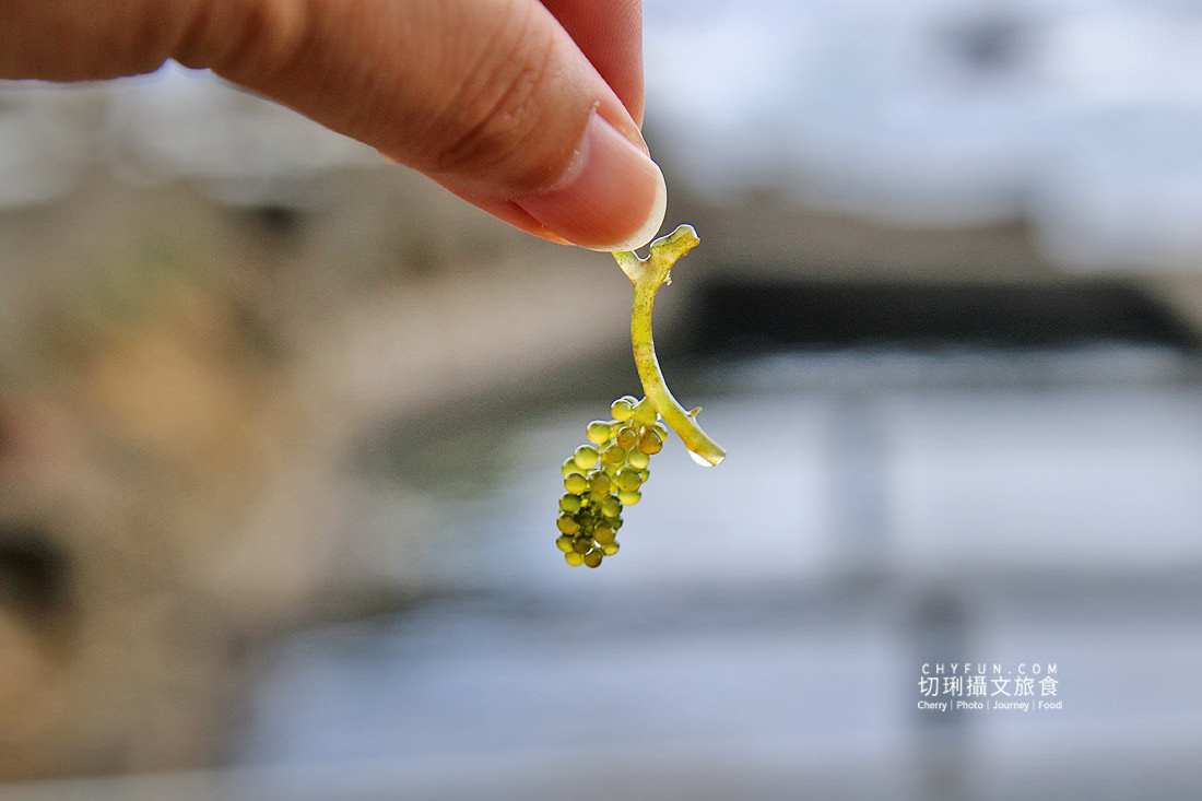 新北｜品味貢寮親山近海深度遊，走讀漁村遇見雞母嶺吃玩九孔鮮味