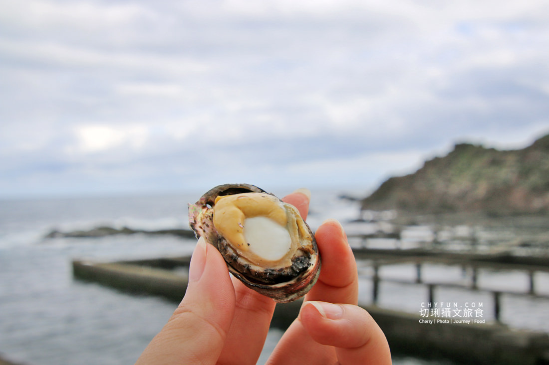 新北｜品味貢寮親山近海深度遊，走讀漁村遇見雞母嶺吃玩九孔鮮味