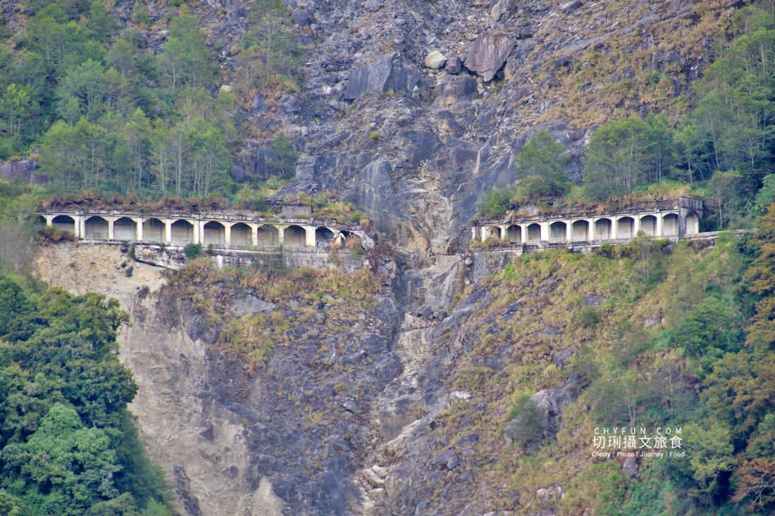 嘉義｜嘉義限定眠月啤酒融阿里山林鐵元素，帶著有意思的水果酒走跳山裡拍美照