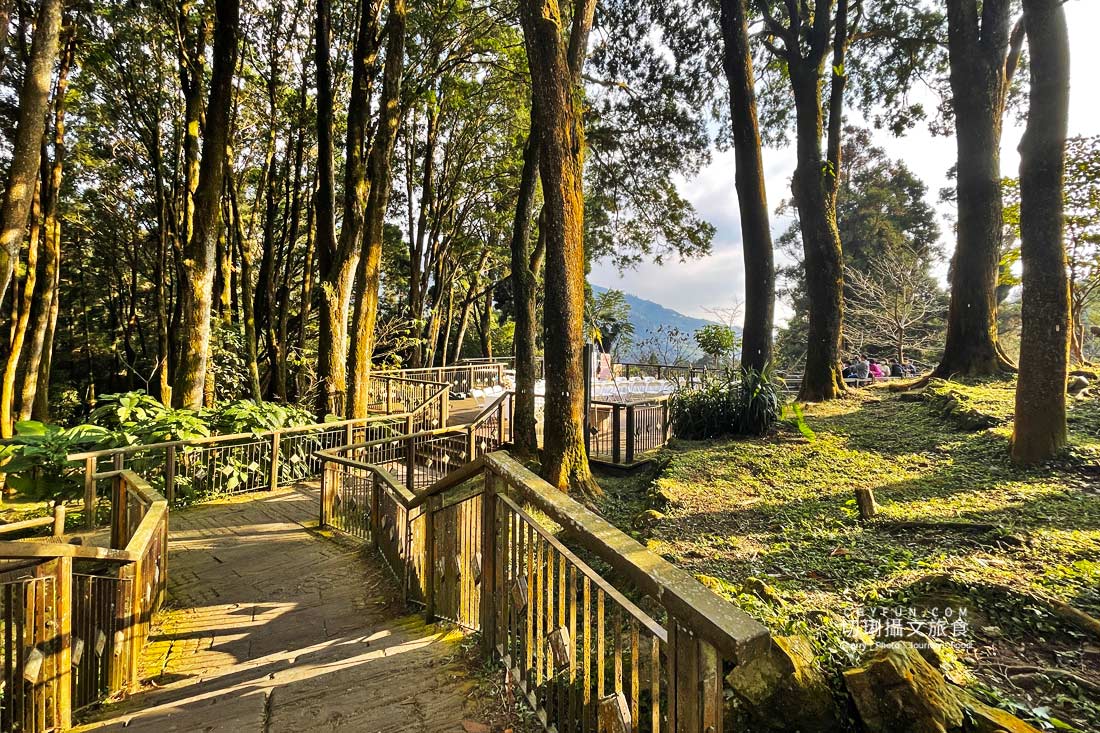 嘉義｜奮起湖冬螢星空餐桌浪漫特別又溫馨，冬季來去阿里山歲時生活節過節體驗