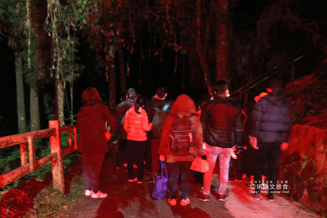 嘉義｜奮起湖冬螢星空餐桌浪漫特別又溫馨，冬季來去阿里山歲時生活節過節體驗