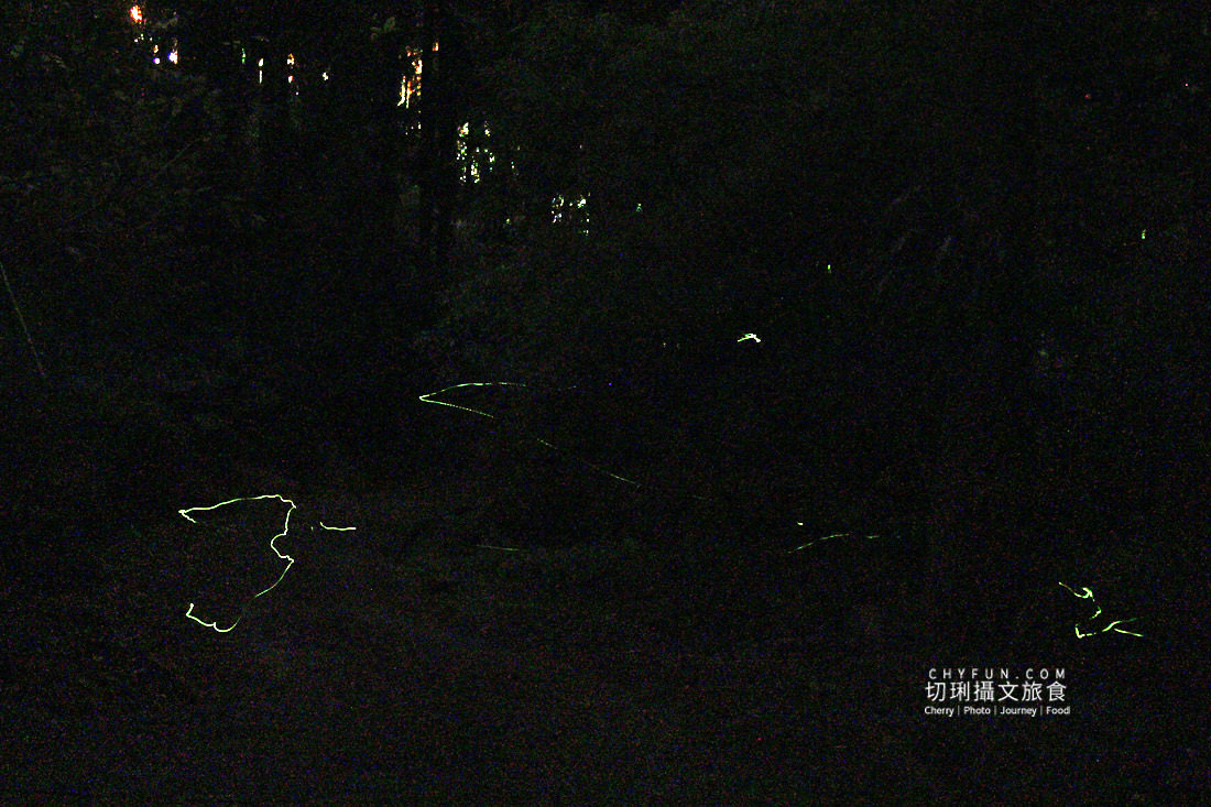 嘉義｜奮起湖冬螢星空餐桌浪漫特別又溫馨，冬季來去阿里山歲時生活節過節體驗