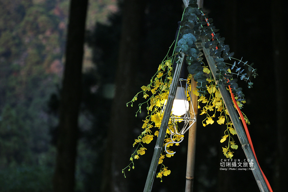 嘉義｜奮起湖冬螢星空餐桌浪漫特別又溫馨，冬季來去阿里山歲時生活節過節體驗