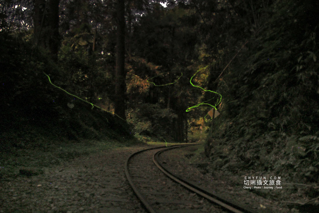 嘉義｜奮起湖冬螢星空餐桌浪漫特別又溫馨，冬季來去阿里山歲時生活節過節體驗