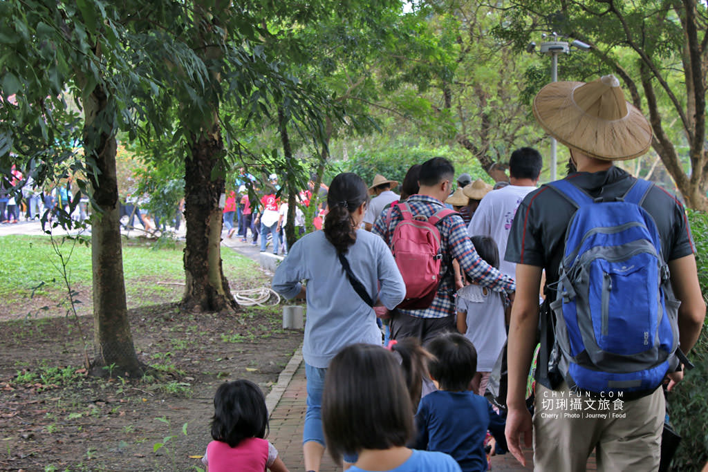 屏東旅遊六堆客家庄採菜體驗趣04