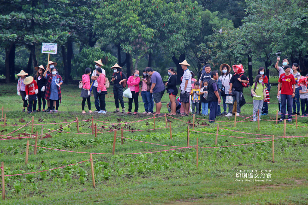 屏東旅遊六堆客家庄採菜體驗趣05