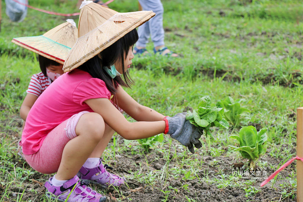 屏東旅遊六堆客家庄採菜體驗趣09
