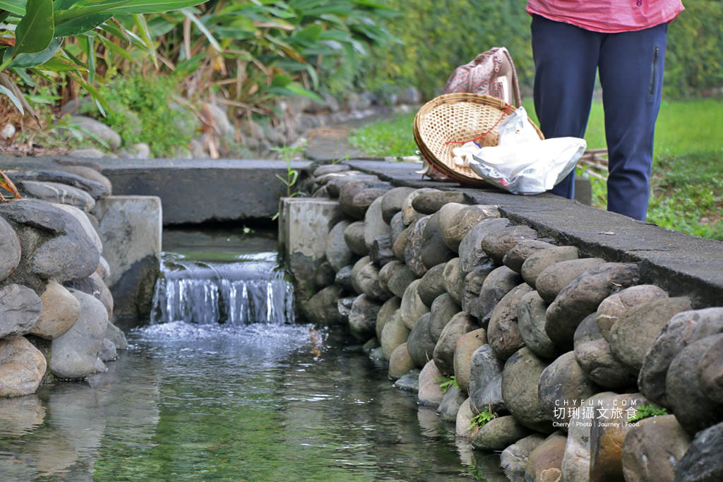 屏東旅遊六堆客家庄採菜體驗趣12