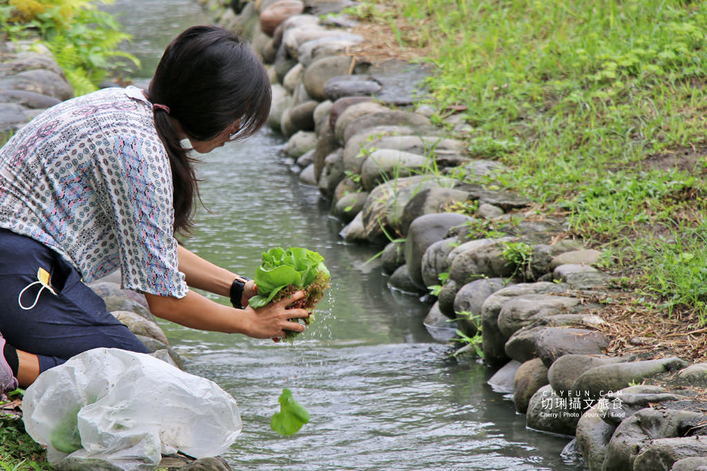 屏東旅遊六堆客家庄採菜體驗趣15