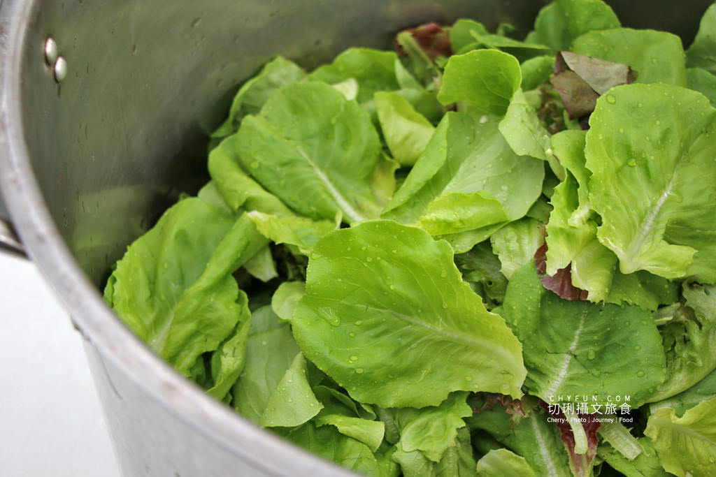 屏東旅遊六堆客家庄採菜體驗趣17