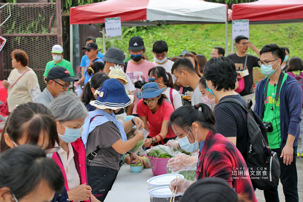 屏東旅遊六堆客家庄採菜體驗趣18